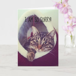 Tarjeta Foto de portaobjetos Gray Tabby Kitty