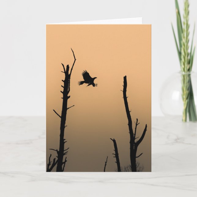 Tarjeta Foto de Sea Eagle Wildlife (Anverso)