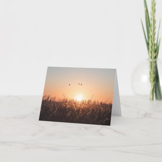 Tarjeta Foto de Sunrise Reed Nature (Anverso)