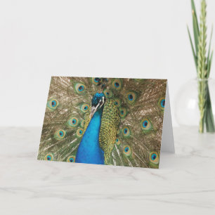 Tarjeta Foto de un hermoso pavo real con plumas extendidas