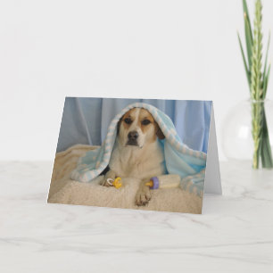 Tarjeta Foto de un perro como bebé