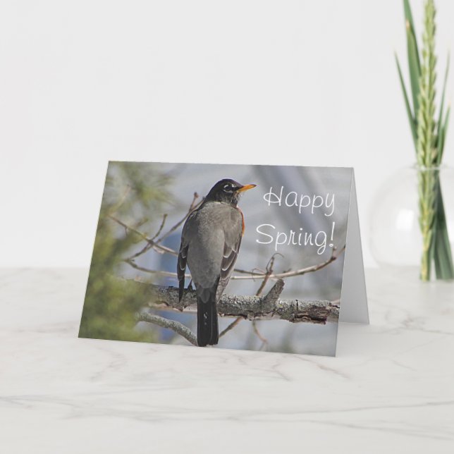 Tarjeta Foto de un robo estadounidense (Anverso)