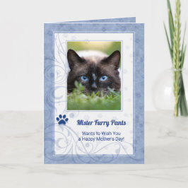Tarjeta Foto del Día de la Madre del Gato en Periwinkle Bl