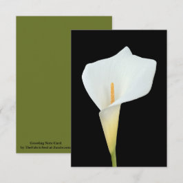 Tarjeta Foto del jardín trasero de Calla blanca Lily Flowe