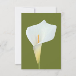 Tarjeta Foto del jardín trasero de Calla blanca Lily Flowe