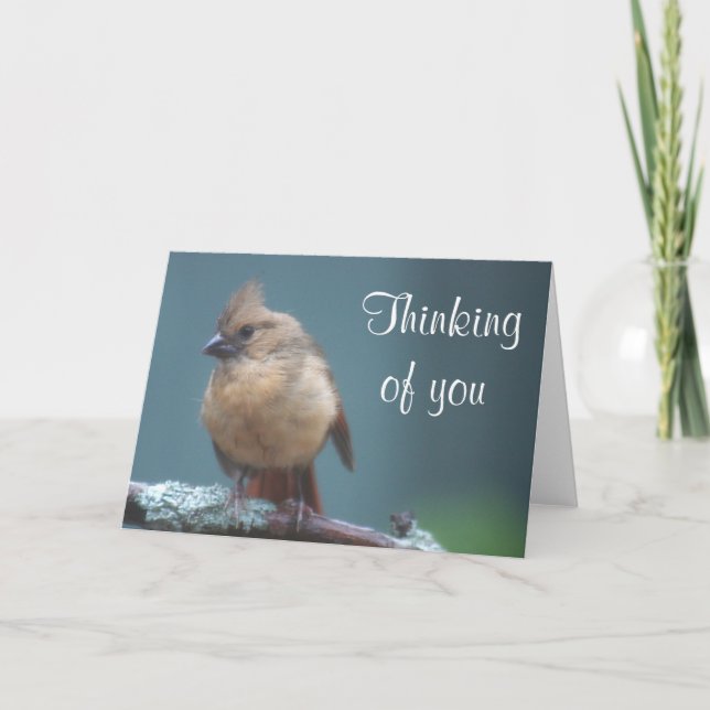 Tarjeta Foto del joven cardenal (Anverso)