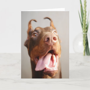 Tarjeta Foto del mascota del personalizado (perro)