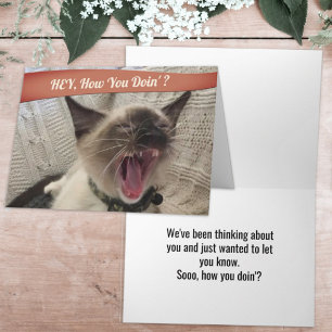 Tarjeta Foto Divertida de Gato Siames Gritando ¿Cómo Estás