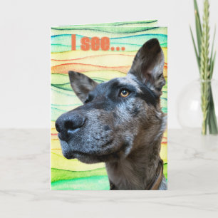 Tarjeta Foto divertida de la cabeza de un perro de ganado
