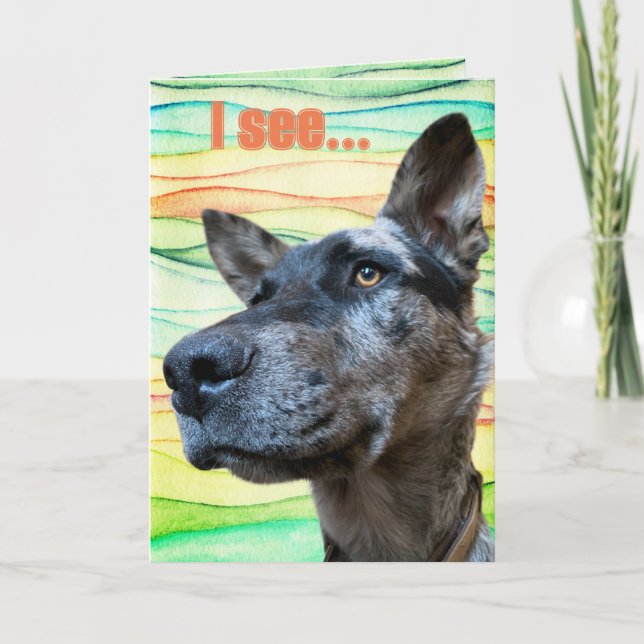 Tarjeta Foto divertida de la cabeza de un perro de ganado  (Anverso)