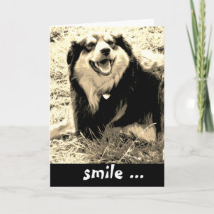 Tarjeta foto divertida de sonrisa de perro lindo para cump