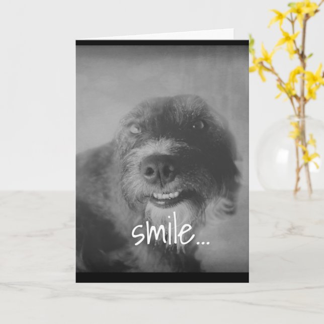 Tarjeta foto en blanco y negro perro gracioso cumpleaños (flor amarilla)