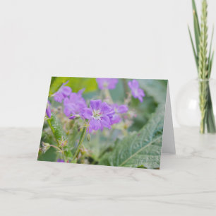 Tarjeta Foto floral de geranio púrpura de violeta silvestr