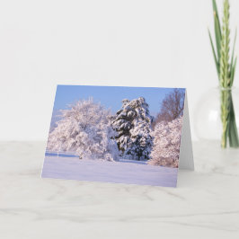 Tarjeta Foto hermosa de la escena de la nieve