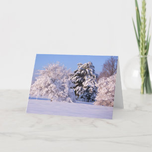 Tarjeta Foto hermosa de la escena de la nieve