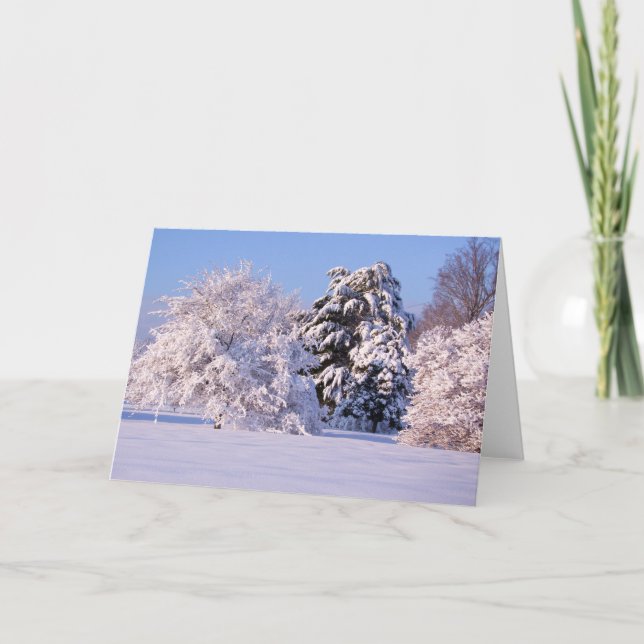 Tarjeta Foto hermosa de la escena de la nieve (Anverso)