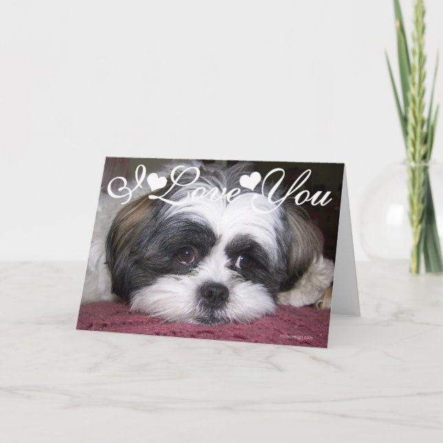 Tarjeta Foto imagen de perro Shih Tzu Te Amo (Anverso)
