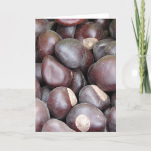 Tarjeta Foto macro de las nueces de Buckeye