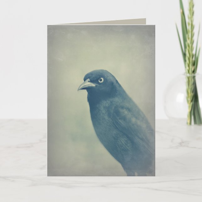 Tarjeta Foto magnífica del cuervo (Anverso)