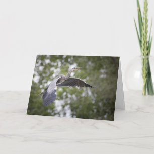 Tarjeta Foto natural de Gray Heron