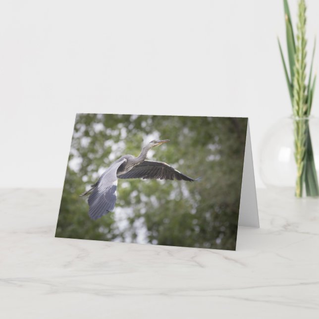 Tarjeta Foto natural de Gray Heron (Anverso)