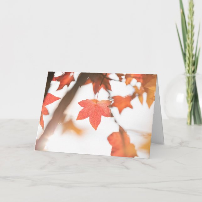 Tarjeta Foto natural de la hoja de otoño roja (Anverso)