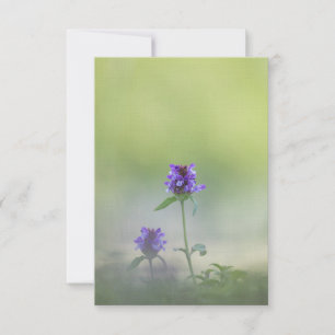 Tarjeta Foto natural de las flores de Prunella
