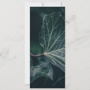 Tarjeta Foto natural de marfil oscuro