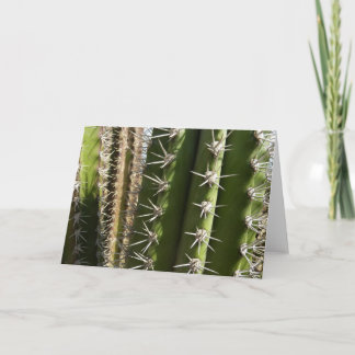 Tarjeta Foto natural del desierto de Cactus II de Barrel