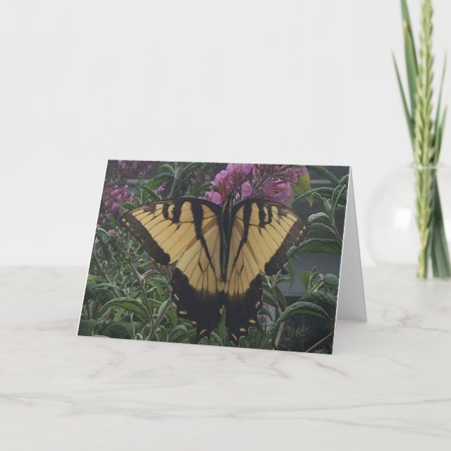 Tarjeta Foto personalizada Mariposa amarilla y negra (Anverso)