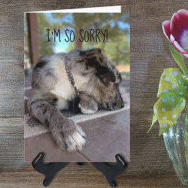 Tarjeta Foto personalizado Brindle Cattle Dog Beled Templa