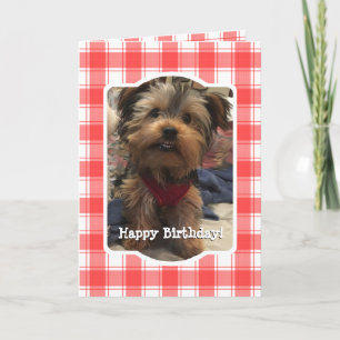 Tarjeta Foto personalizado: comida para granja de campo ro