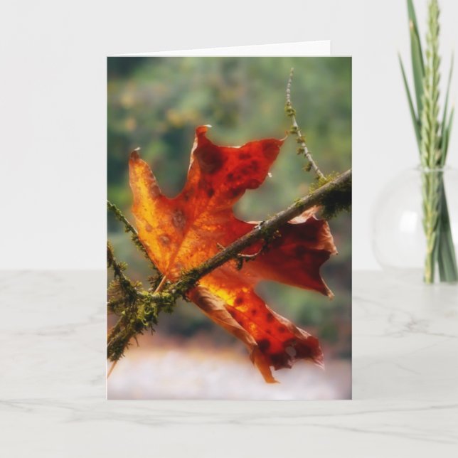 Tarjeta Foto roja de la naturaleza de la hoja del otoño (Anverso)