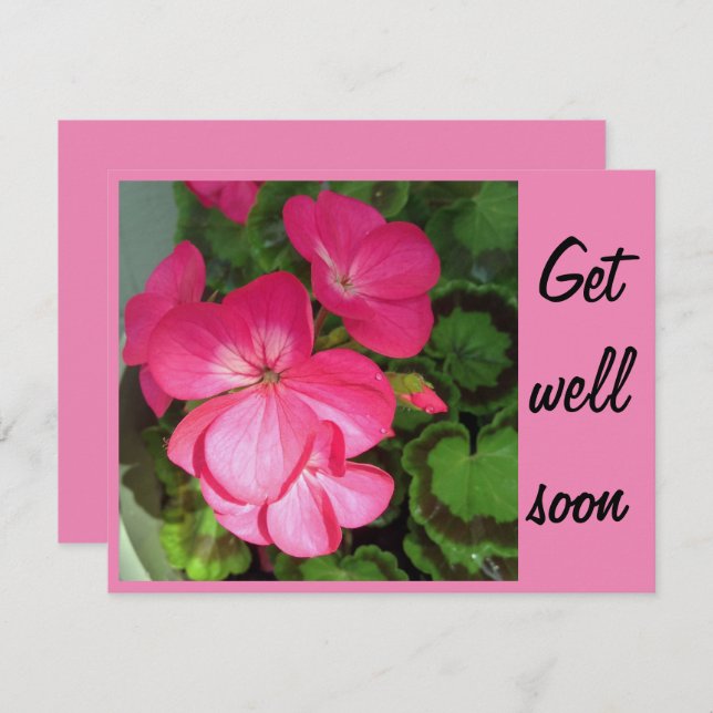 Tarjeta Foto rosa de geranio muy pronto (Anverso / Reverso)