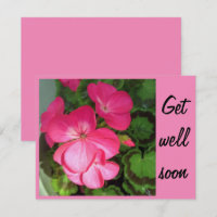 Foto rosa de geranio muy pronto