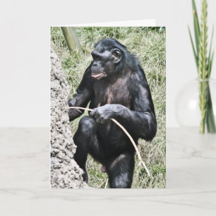 Tarjeta Foto w del chimpancé que anima la cita de Thomas