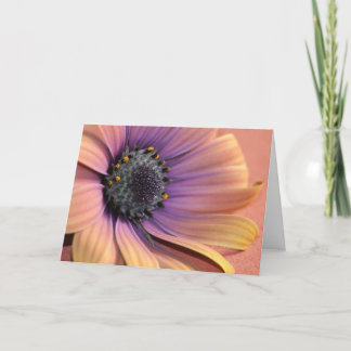 Tarjeta Foto y diseño de Charmaine French-Allaka 112010