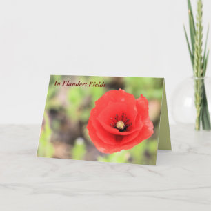 Tarjeta Foto y poema de la amapola de los campos de Flande