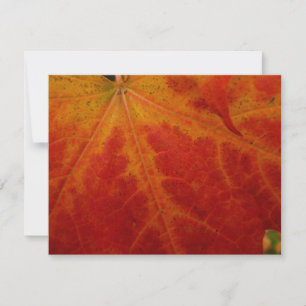 Tarjeta Fotografía abstracta de la naturaleza otoñal de ho