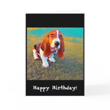 Fotografía artística caprichosa de Basset Hound Do
