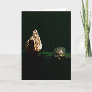Tarjeta Fotografía de arte de tortuga y pato