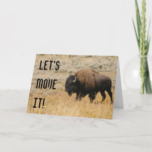 Tarjeta Fotografía de Bisonte Americano Pastando en Prader
