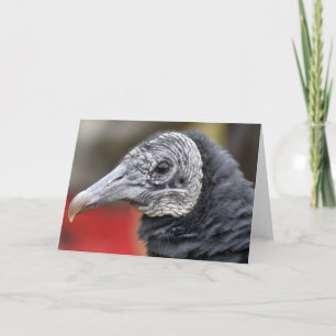 Tarjeta Fotografía de Black Vulture