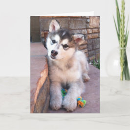 Tarjeta Fotografía de cachorro de Alaskan Malamute inclina