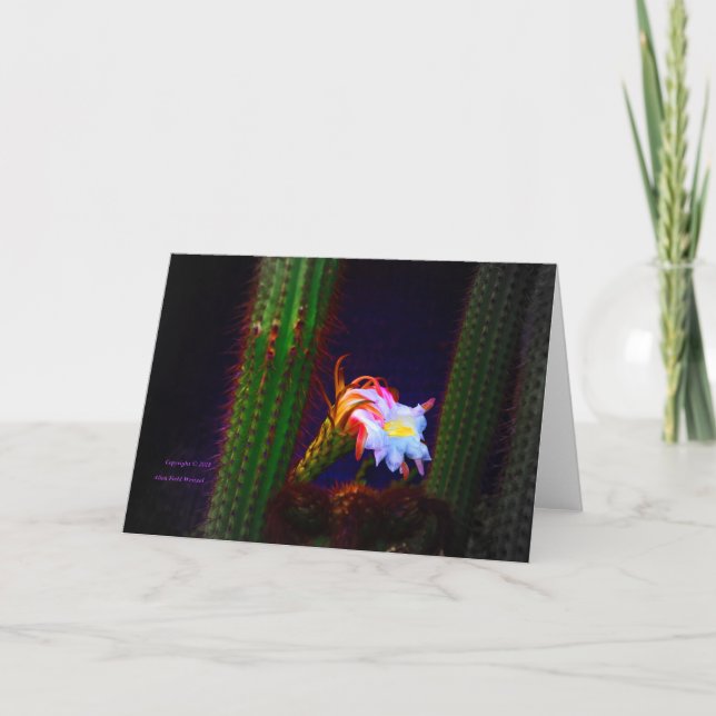 Tarjeta Fotografía De "Cactus Flower At Sunset #105" (Anverso)