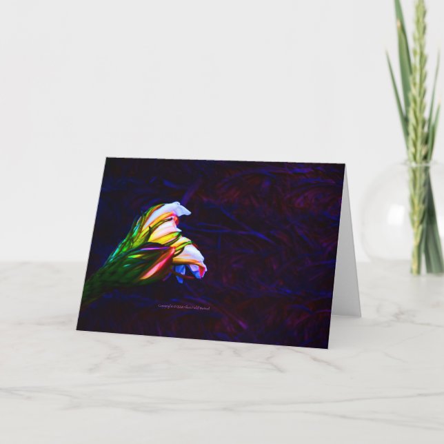 Tarjeta Fotografía De "Cactus Flower At Sunset #85" (Anverso)