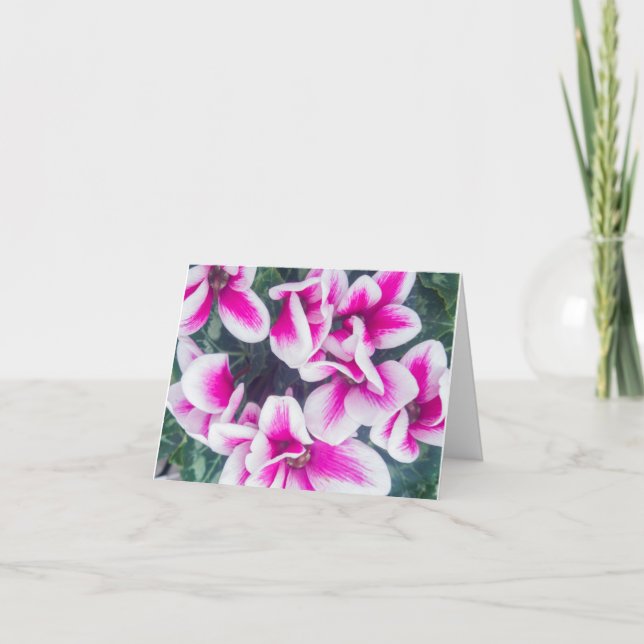 Tarjeta Fotografía de ciclamen floral rosa Notecard (Anverso)