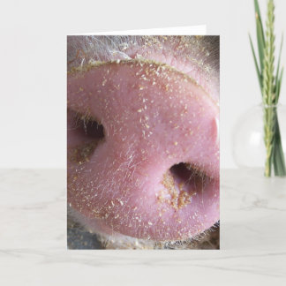 Tarjeta Fotografía de cierre de nariz de cerdo rosa