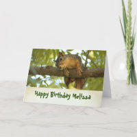 Fotografía de cumpleaños de la naturaleza de ardil