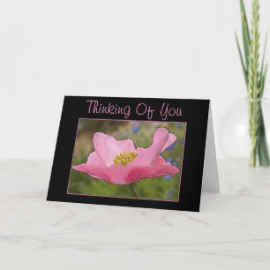Tarjeta Fotografía de Flor de Amapola Rosa Pensando en Ti